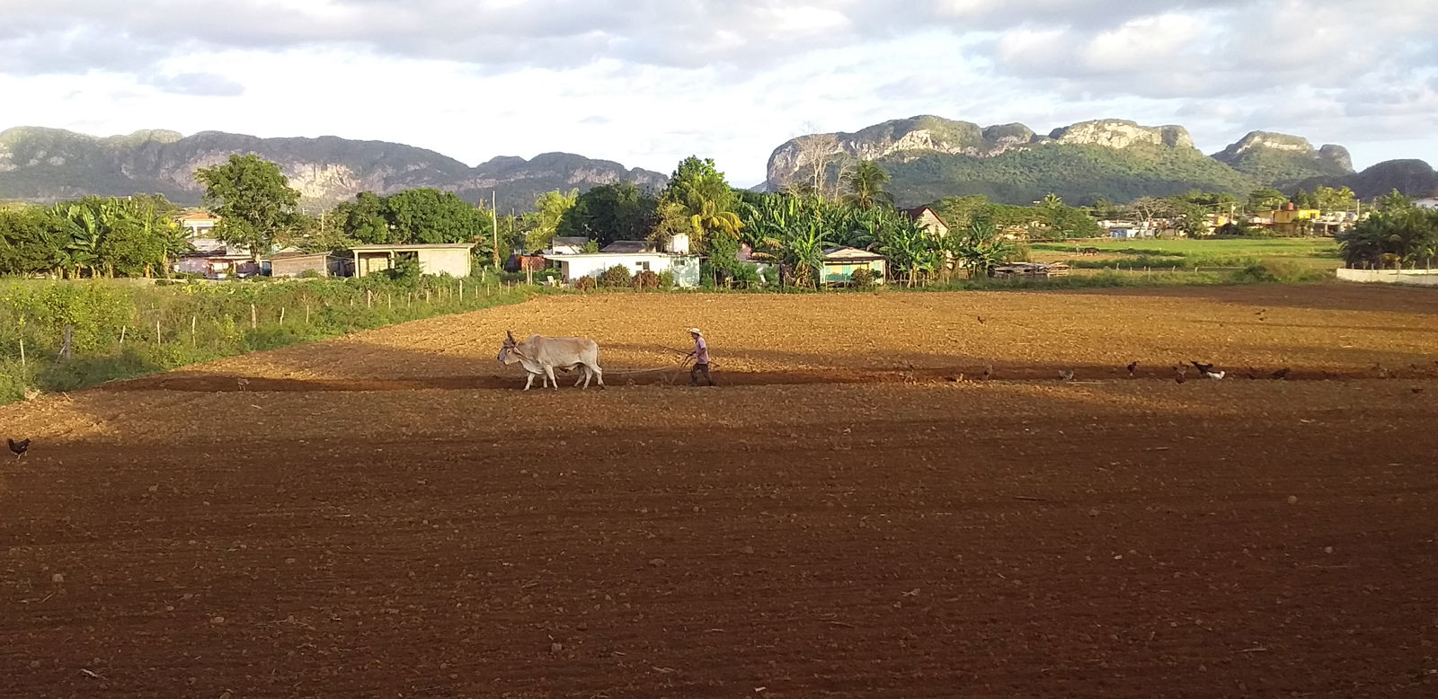 Chambre Chez L'habitant Viñales 266219