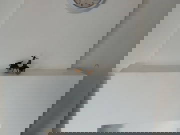 Logement Entier Charleroi 574968-14