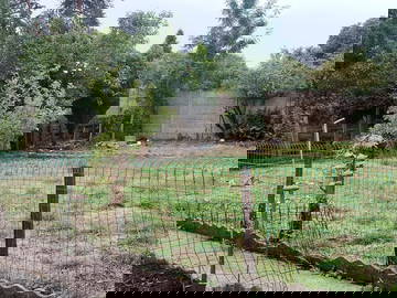 Logement Entier Charleroi 574968-25