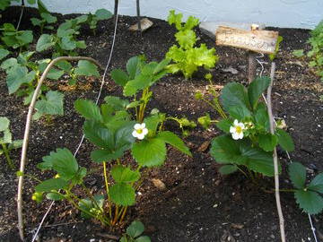 Ganzes Haus Sainte-Agathe-des-Monts 43745-3