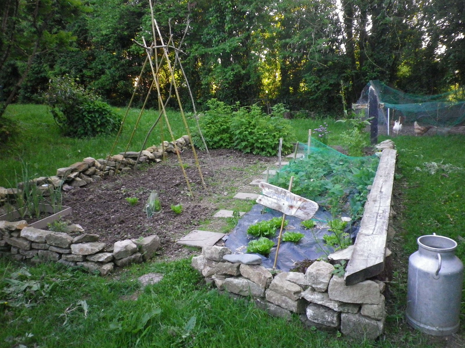 Onafhankelijke Studio Percy 96832