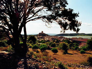 Chambre À Louer Gruissan 75176