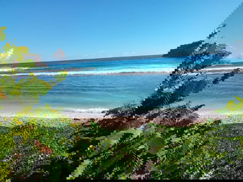 Gastfamilie Anse-Bertrand 214953-4