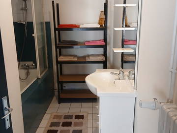 Logement entier à louer à Beneuvre - photo 5 : salle de bain-5