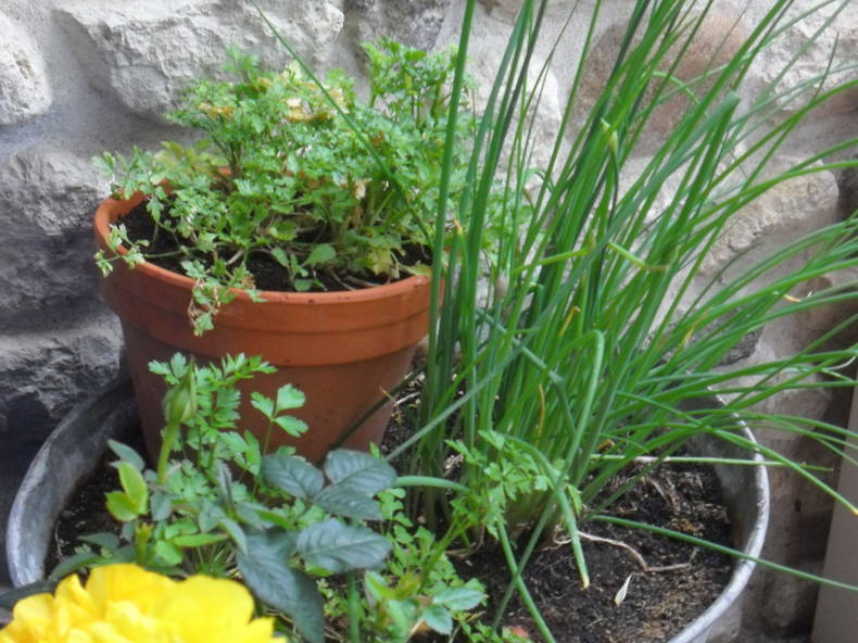 Logement Entier Pérignat-sur-Allier 102055-5