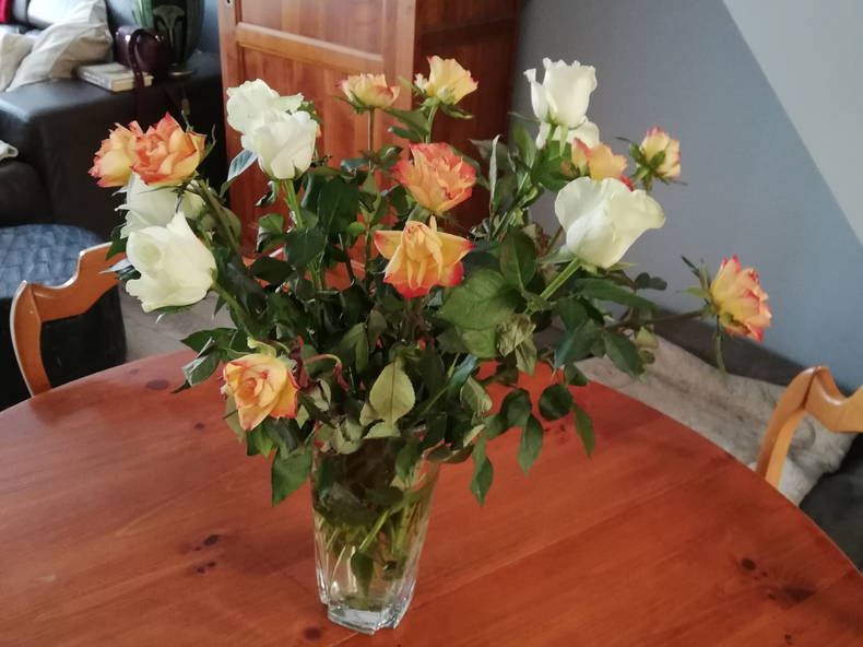 Gastgezin Estaires 84475-4