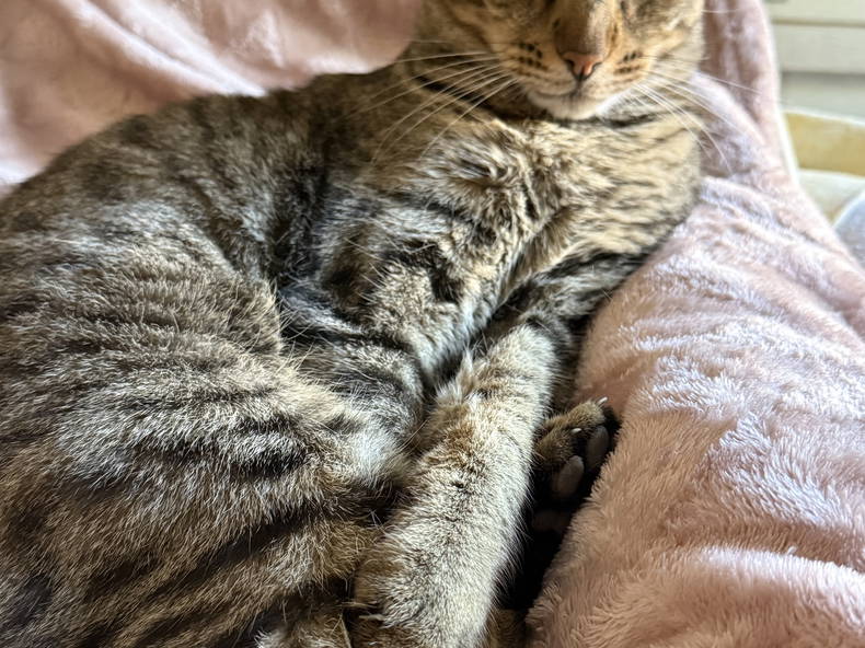 Colocación Saint-Chamas 628000-2