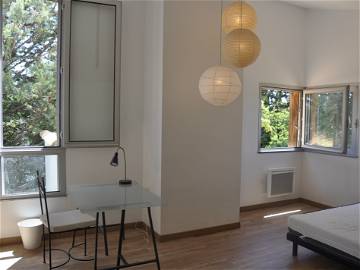 Chambre À Louer Montpellier 246365