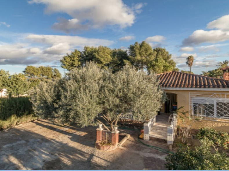 Colocatie València 246798-4