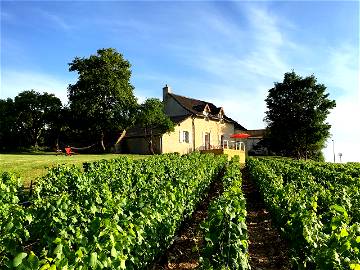 Roomlala | Maison Au Cœur Des Vignes En Bourgogne