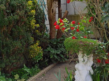 Logement entier à louer à Le Mans - jardin-3