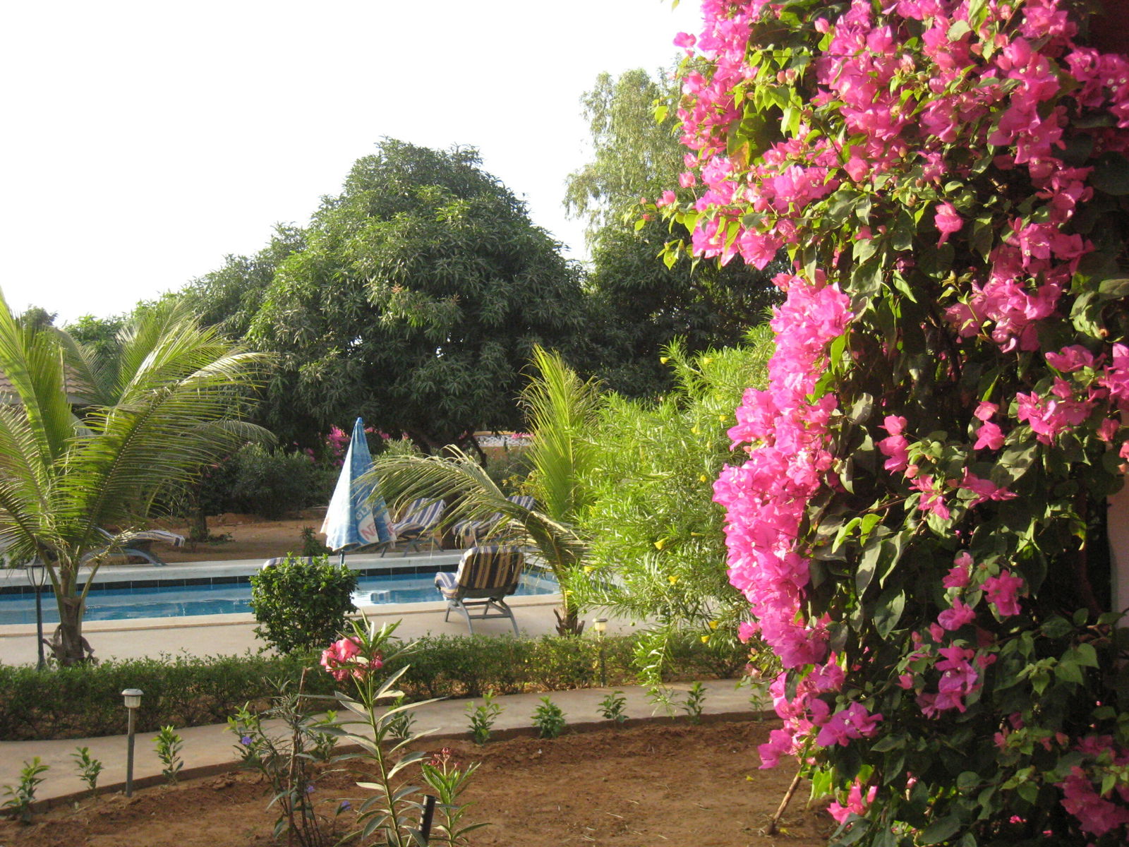 Gastenkamers M'bour 110861