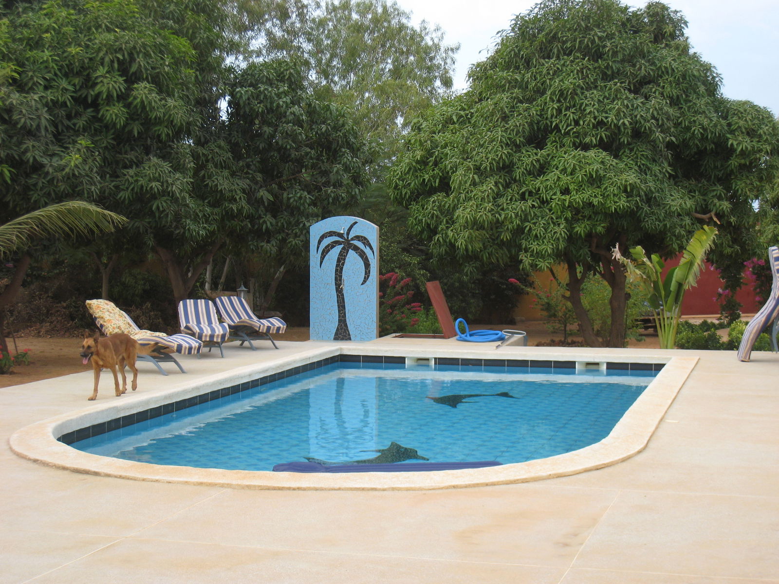 Gastenkamers M'bour 110861