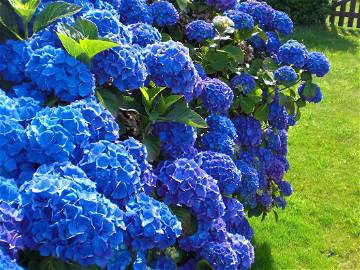 Logement Entier Beuzec-Cap-Sizun 128441-8