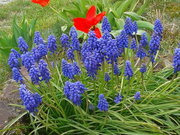 Chambre Chez L'habitant Pont-À-Celles 169950-5