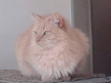 Chambre Chez L'habitant Pont-À-Celles 169950-6