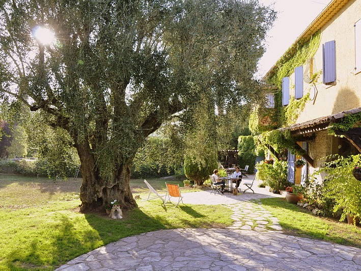 Bed And Breakfast Roquefort-les-Pins 97248-1