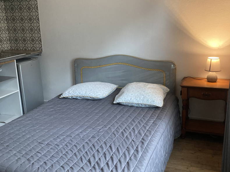 Entire Home Poitiers 170117-2