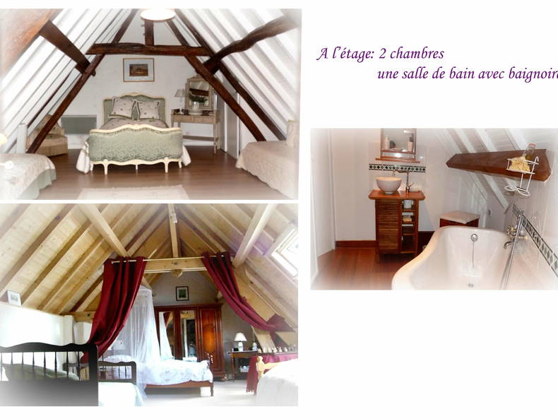 Ganzes Haus Ingrandes-de-Touraine 99960-3