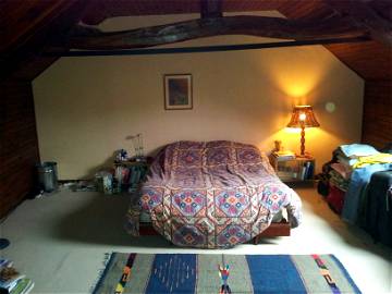 Chambre Chez L'habitant Briarres-Sur-Essonne 137690-1