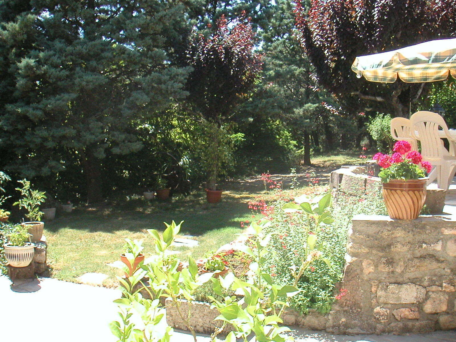 Estudio Independiente Carlus 65643