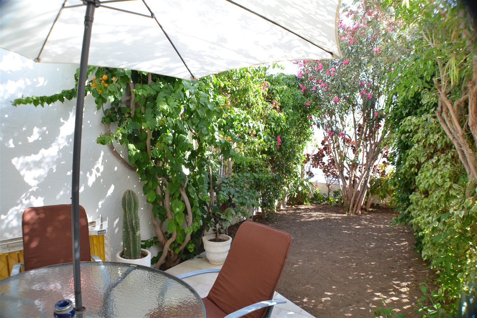 Logement Entier San Bartolomé de Tirajana 231461