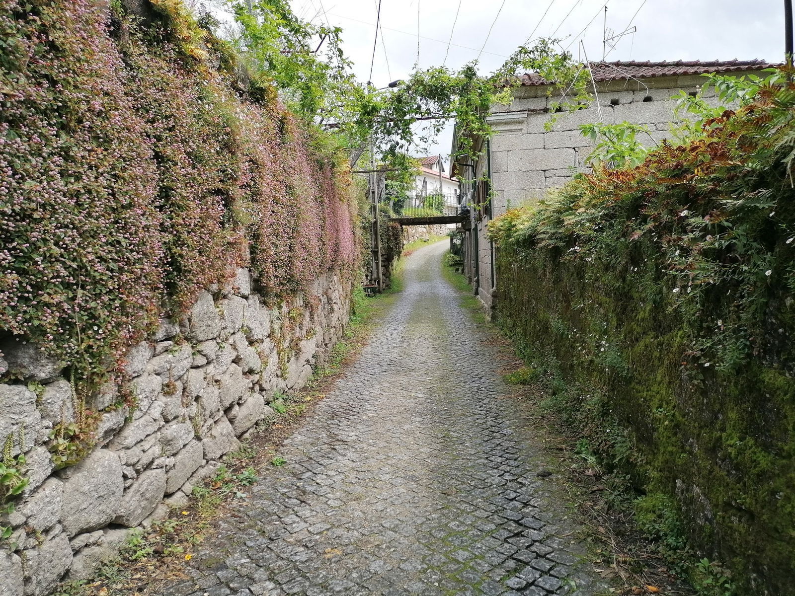 Toda La Casa Amares 257375