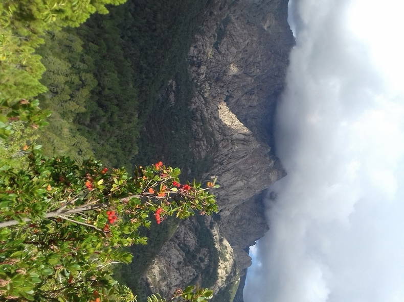 Entire Home Guagno 40722-2