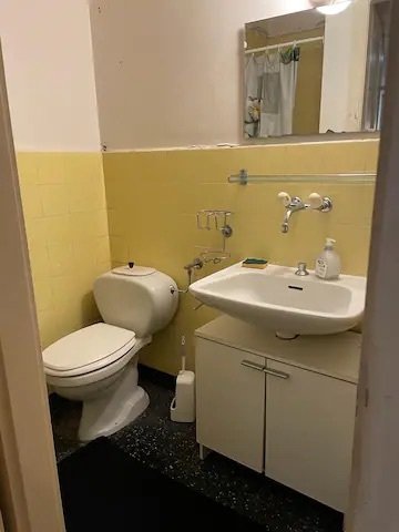 Logement Entier Vevey 259975