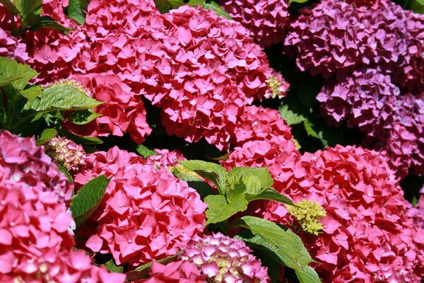 Logement Entier Porspoder 190628