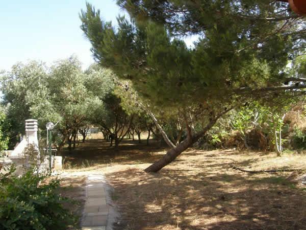 Logement Entier Gagliano del Capo 196203