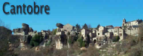 Logement Entier Saint-Jean-du-Bruel 206474