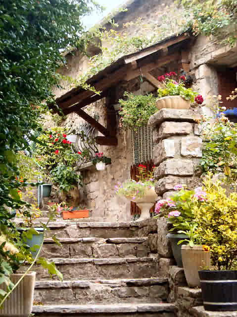 Logement Entier Saint-Jean-du-Bruel 206474