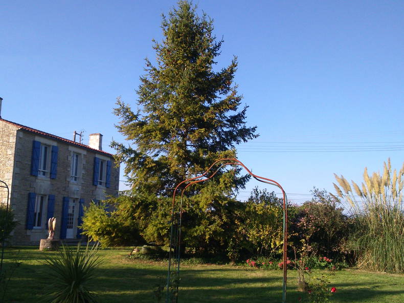 Toda La Casa Liez 163885-4