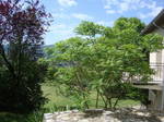 Gastfamilie Saint-Laurent-Les-Tours 235887