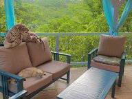 Chambre D'hôte Grande-Terre 60746-10