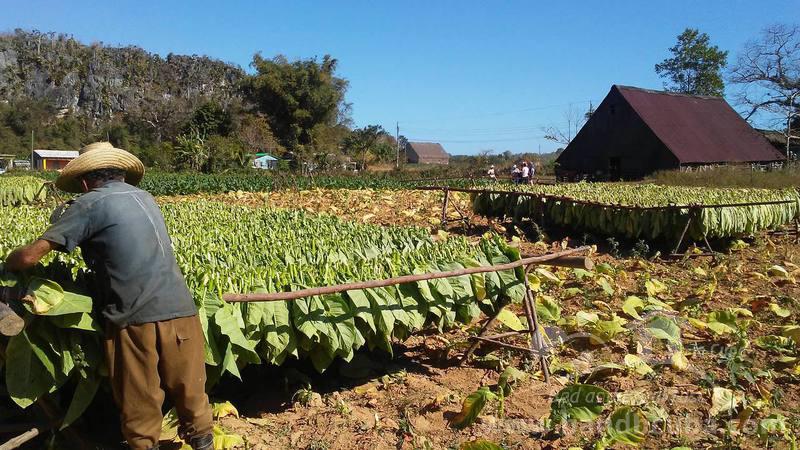 Chambre Chez L'habitant Pinar del Río 334951