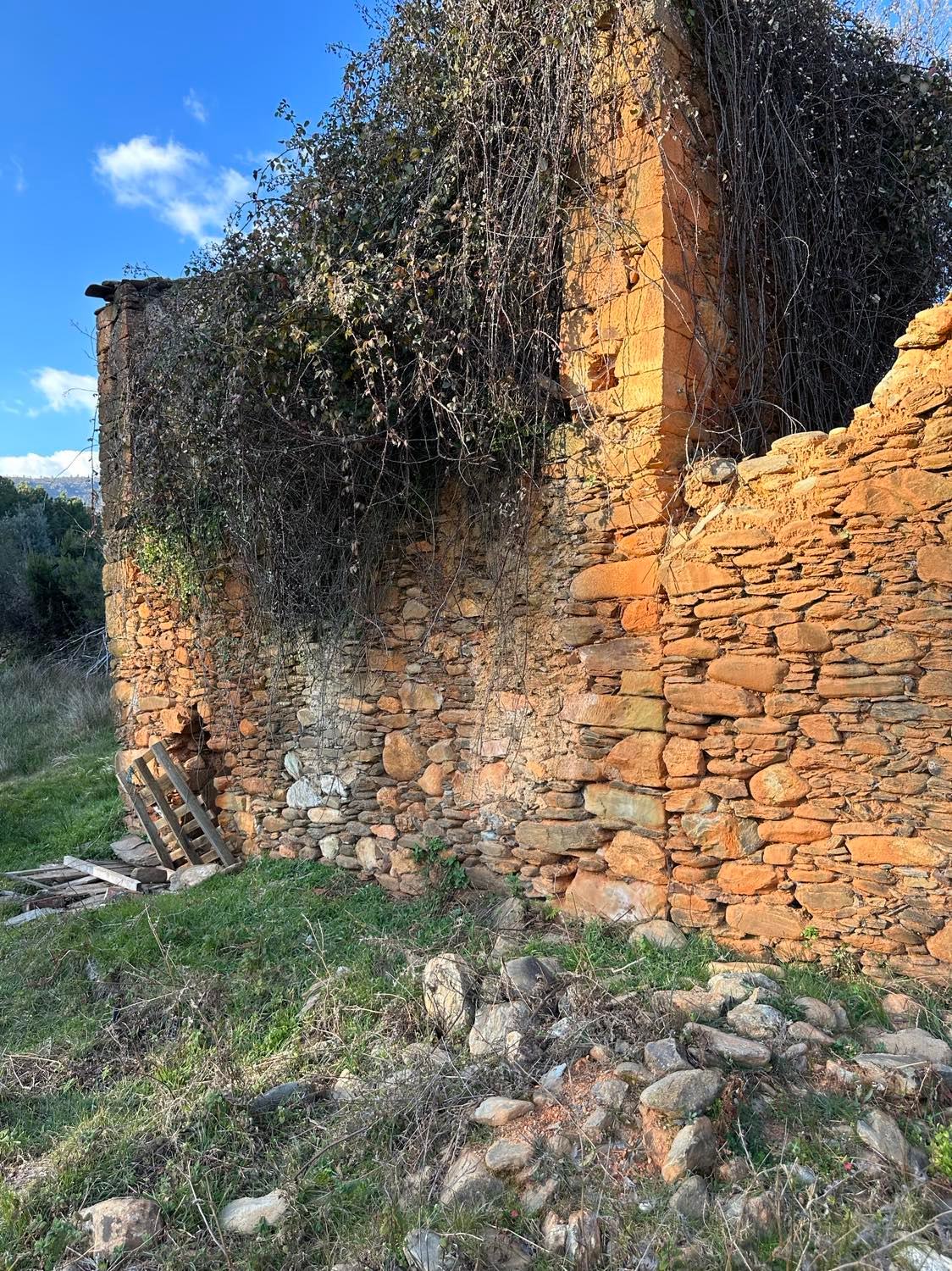 Logement Entier Erada 284314