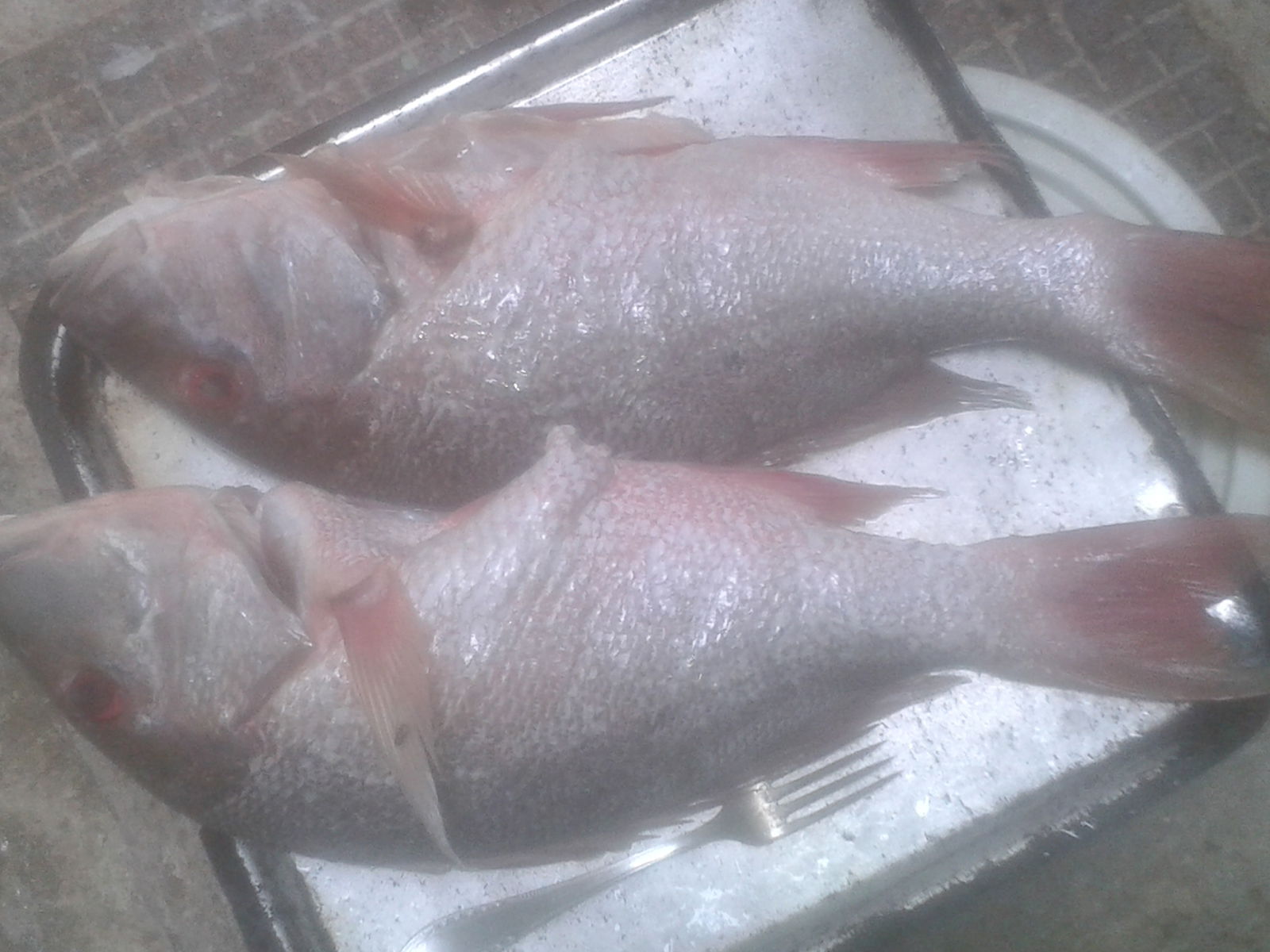 Chambre Chez L'habitant La Habana 180583