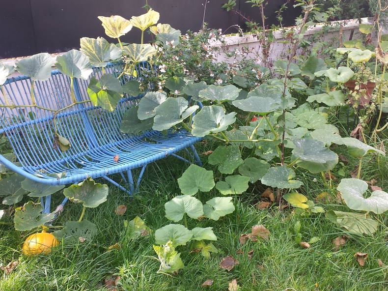 Colocation Montreuil 194271-3