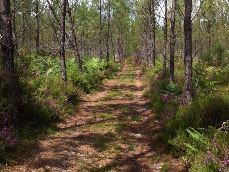 Ganzes Haus Boos 46540-3