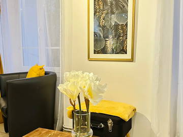 Coliving zu vermieten in Montévrain - Foto 11-11