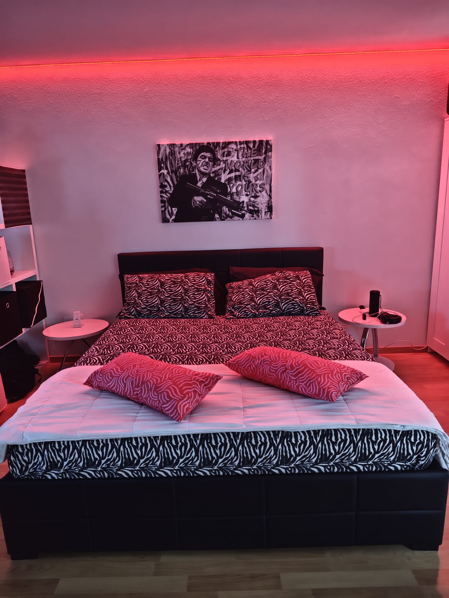 Logement Entier Rothrist 661843