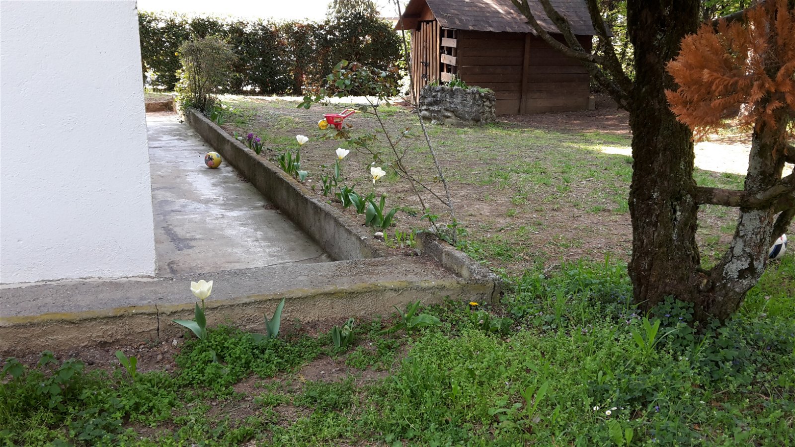 Logement Entier Saint-Julien-en-Genevois 223826