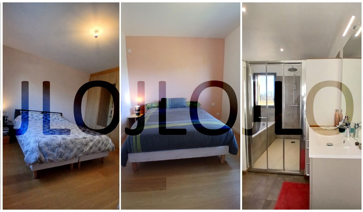 Logement Entier Saint-Cyr-au-Mont-d'Or 653988