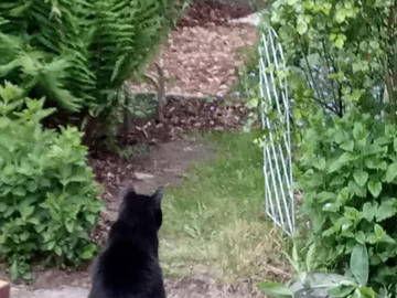 Shared Accommodation Schaerbeek 526041-8