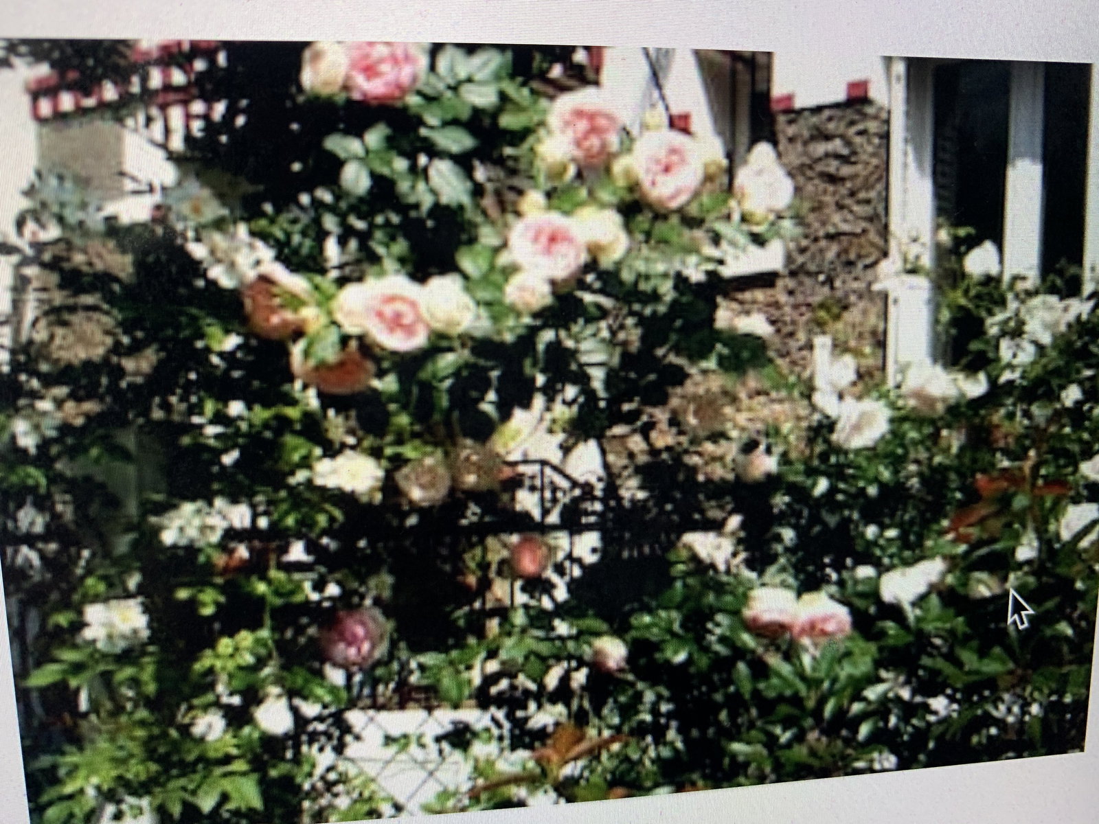 Chambre Chez L'habitant Paris 256283