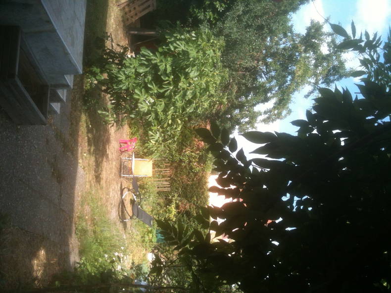 Colocação Illkirch-Graffenstaden 112821-1