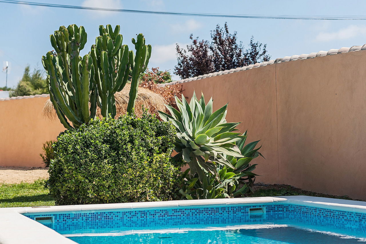 Studio Indépendant Conil de la Frontera 229208