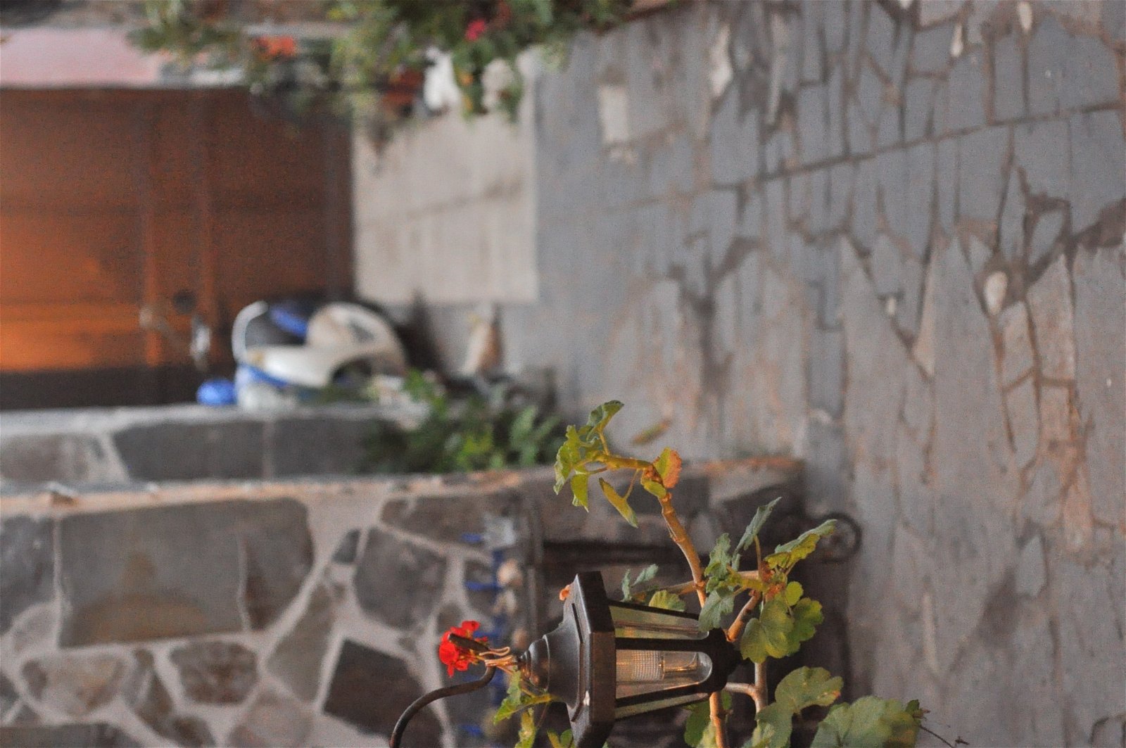 Chambre Chez L'habitant Los Silos 101935